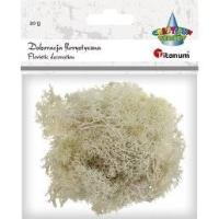 Opakowanie Mech chrobotek beżowy 20g