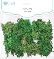 Mech ciemnozielony 30g. Wydawca: Dalprint. SmakLiter.pl Opakowanie Mech ciemnozielony 30g