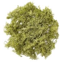 Mech jasnozielony 30g. Wydawca: DP CRAFT. SmakLiter.pl Opakowanie Mech jasnozielony 30g