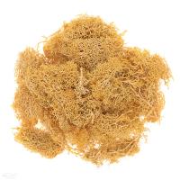 Mech ochrowy 30g. Wydawca: DP CRAFT. SmakLiter.pl Opakowanie Mech ochrowy 30g