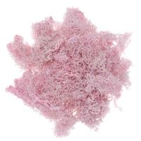 Mech różowy 30g. Wydawca: Dalprint. SmakLiter.pl Opakowanie Mech różowy 30g