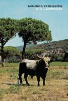 Miejsca Etrusków. Autor: Lawrence D.H.. SmakLiter.pl Okładka książki Miejsca Etrusków