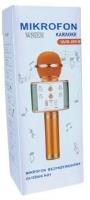Opakowanie Mikrofon zabawkowy JYWK369-1 złoty