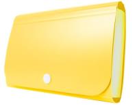 Mini organizer harmonijkowy PP zatrzask żółty. Wydawca: TETIS. SmakLiter.pl Opakowanie Mini organizer harmonijkowy PP zatrzask żółty