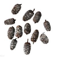 Opakowanie Mini szyszki bielone 12szt