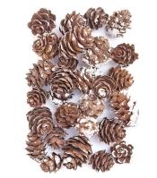 Mini szyszki bielone 25g. Wydawca: Dalprint. SmakLiter.pl Opakowanie Mini szyszki bielone 25g