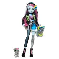 Opakowanie Monster High Frankie Stein Lalka podstawowa HXH73