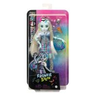 Opakowanie Monster High. Lalka z akcesoriami HKY73