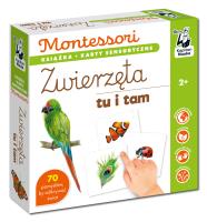 Montessori. Zwierzęta tu i tam. Karty sensoryczne. Autor: Dołhun Katarzyna, Katarzyna Fus. SmakLiter.pl Okładka książki Montessori. Zwierzęta tu i tam. Karty sensoryczne