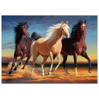 Opakowanie Mozaika diamentowa 5D - Konie 40x30cm
