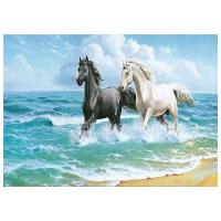 Opakowanie Mozaika diamentowa 5D - Konie 40x30cm