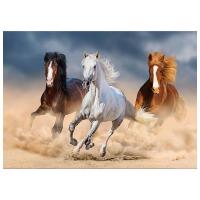 Opakowanie Mozaika diamentowa 5D - Konie 40x30cm