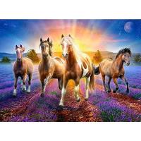 Opakowanie Mozaika diamentowa 5D - Konie 40x30cm