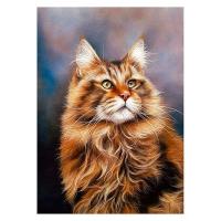 Opakowanie Mozaika diamentowa 5D - Kot 40x30cm