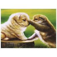 Opakowanie Mozaika diamentowa 5D - Psy 40x30cm