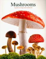 Mushrooms. Autor: O'Keefe Liz. SmakLiter.pl Okładka książki Mushrooms