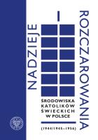 Nadzieje i rozczarowania. Autor: Siedziako Michał, Sikorski Tomasz. SmakLiter.pl Okładka książki Nadzieje i rozczarowania