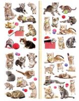 Opakowanie Naklejki 3D koty MIX