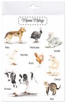Naklejki duże Zwierzęta wiejskie 1. Wydawca: Mama Maluje. SmakLiter.pl Opakowanie Naklejki duże Zwierzęta wiejskie 1