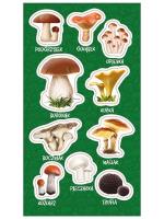 Opakowanie Naklejki Grzyby jadalne