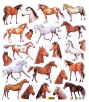 Opakowanie Naklejki konie 23szt