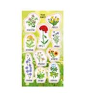 Opakowanie Naklejki Kwiaty polne