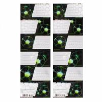 Opakowanie Naklejki na zeszyt Football (25szt)