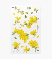 Opakowanie Naklejki ozdobne kwiaty - Forsycja