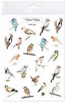 Naklejki Ptaki. Wydawca: Mama Maluje. SmakLiter.pl Opakowanie Naklejki Ptaki