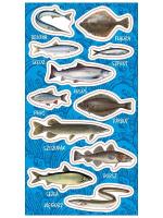 Opakowanie Naklejki Ryby bałtyckie