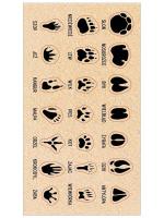 Opakowanie Naklejki Ślady zwierząt