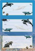 Opakowanie Naklejki szkolne - Delfiny 6szt