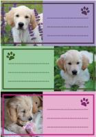 Opakowanie Naklejki szkolne - Pieski 9szt