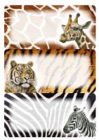 Opakowanie Naklejki szkolne - Safari 9szt