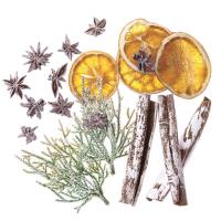 Naturalne elementy 19szt. Wydawca: Dalprint. SmakLiter.pl Opakowanie Naturalne elementy 19szt