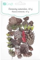 Naturalne elementy mix 50 g. Wydawca: DP CRAFT. SmakLiter.pl Opakowanie Naturalne elementy mix 50 g