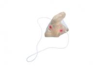 Opakowanie Nos czarownicy