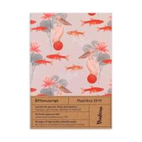 Opakowanie Notatnik A5/160K Plastilina 2019