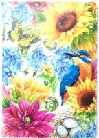 Opakowanie Notatnik ozdobny A5 N9049 Motyl 80 kartek kr. TW