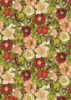 Opakowanie Notatnik ozdobny A5 STNOTE 100 Magnolia