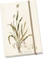 Opakowanie Notatnik ozdobny A5 STNOTE 105 Dmuszek jajowaty