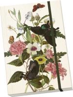 Opakowanie Notatnik ozdobny A5 STNOTE 111 Motyle