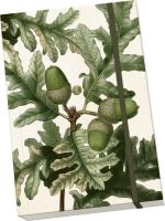 Opakowanie Notatnik ozdobny A5 STNOTE 119 Żołądź