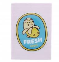 Opakowanie Notes pluszowy Pusheen PURF6002