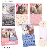 Opakowanie Notesik z magnesem Miss Melody 13019A 1 szt mix