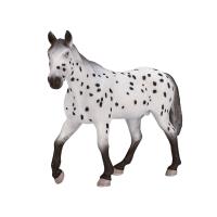 Opakowanie Ogier Appaloosa ANIMAL PLANET