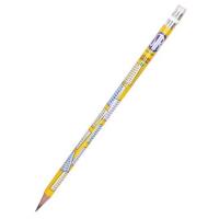 Opakowanie Ołówek z tabliczką mnożenia (12szt) ASTRA