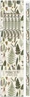 Opakowanie Ołówki ozdobne STPEN04 paprotki 6 sztuk