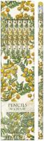Opakowanie Ołówki ozdobne STPEN19 mimoza - zestaw 6 sztuk