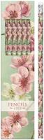 Opakowanie Ołówki ozdobne STPEN32 kwiaty wiśni - 6 sztuk